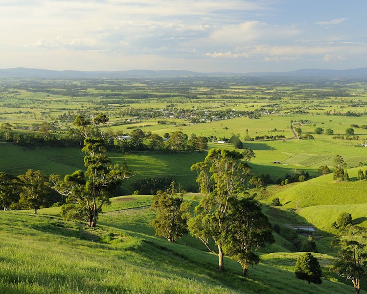 View from the Yarragon hills