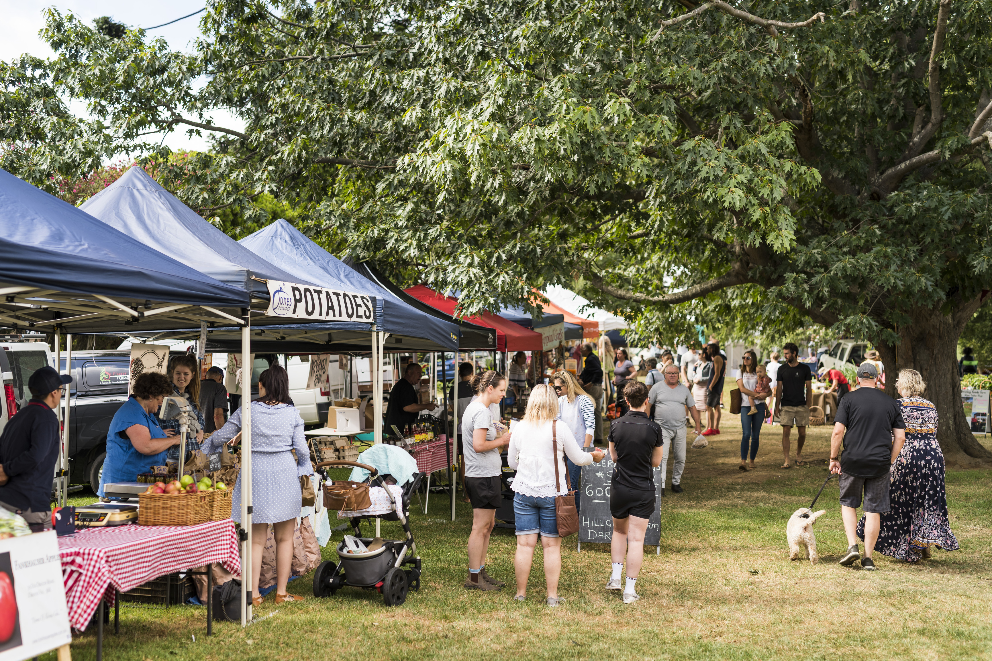 Warragul Farmers Market held monthly