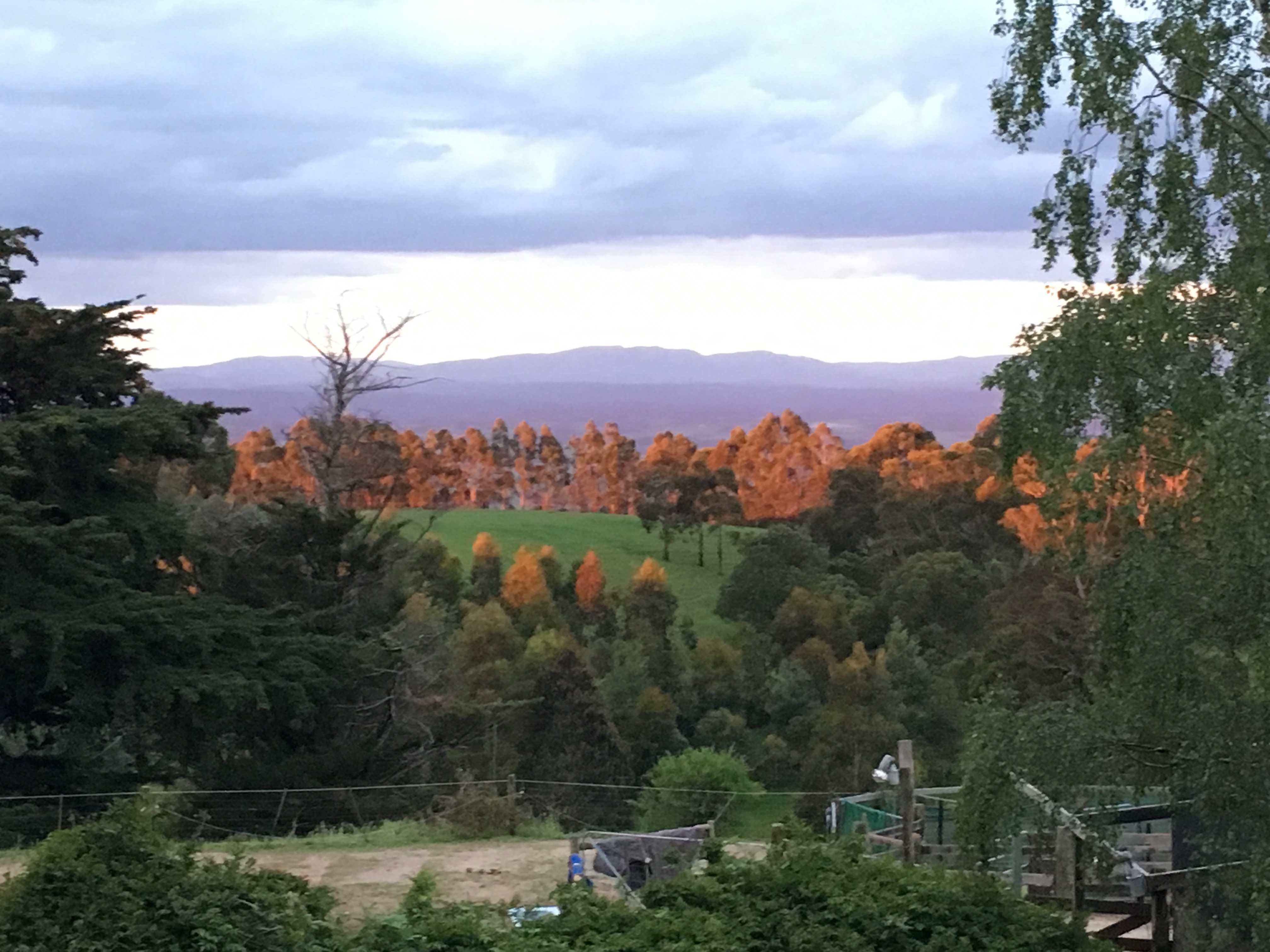 Stunning early evening light in Autumn at Anderley