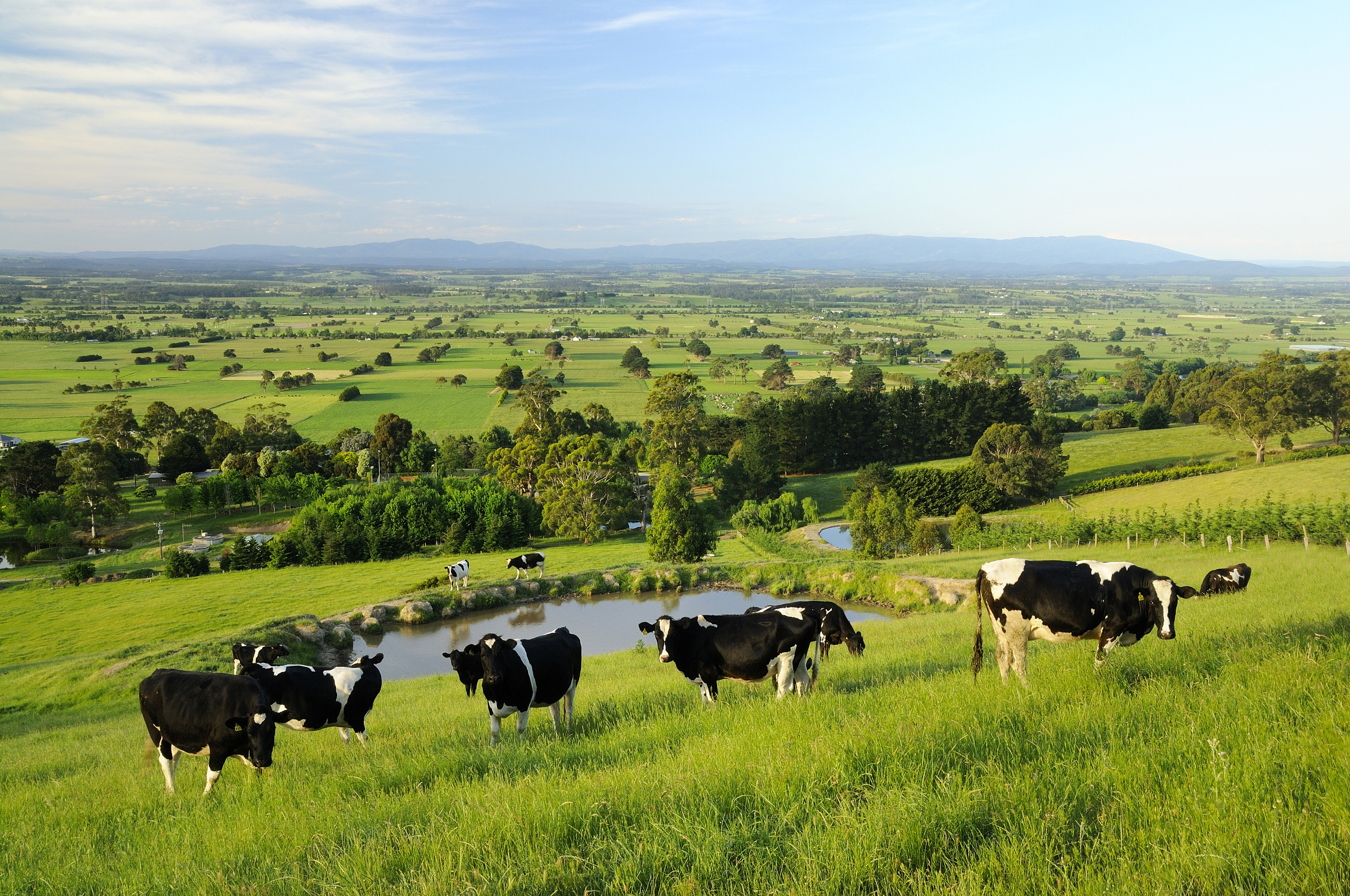 View from the Yarragon hills