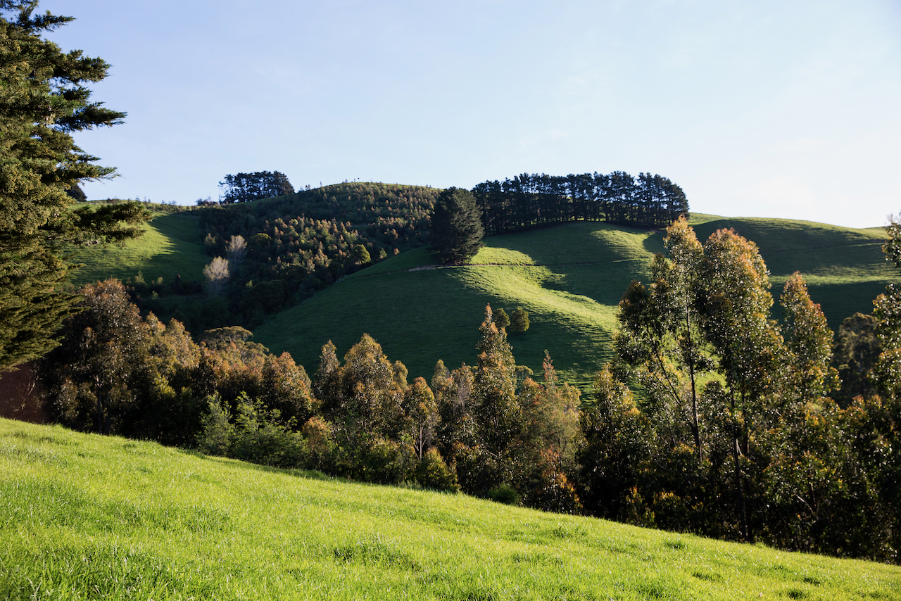 Lush Green views in Yarragon South at Andrley