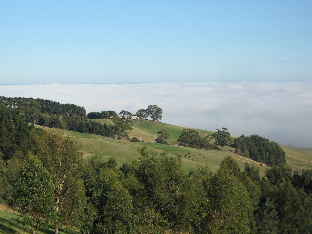 Stunning views in beautiful West Gippsland at Anderley