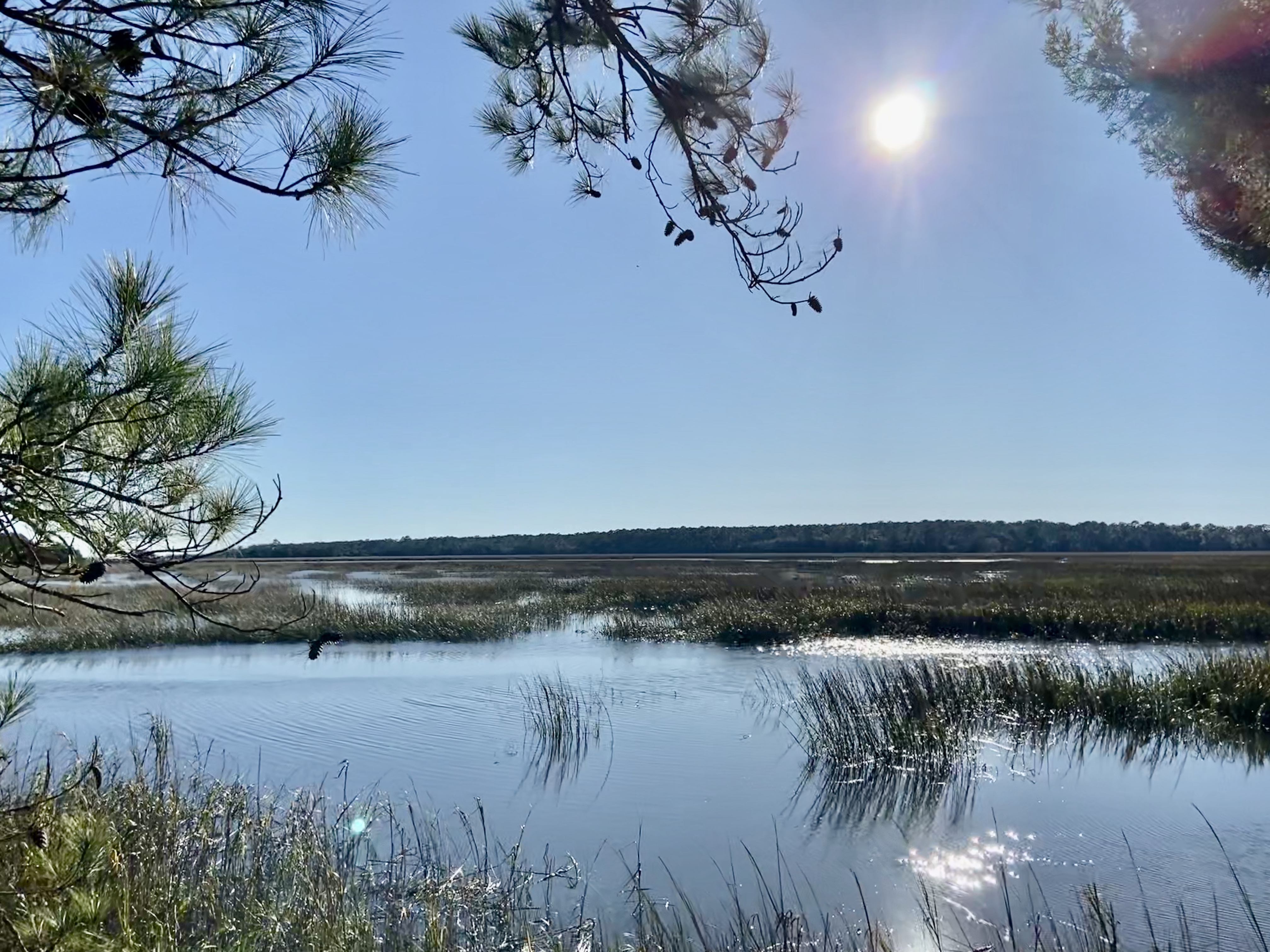 Skidaway Island, Savannah, Georgia