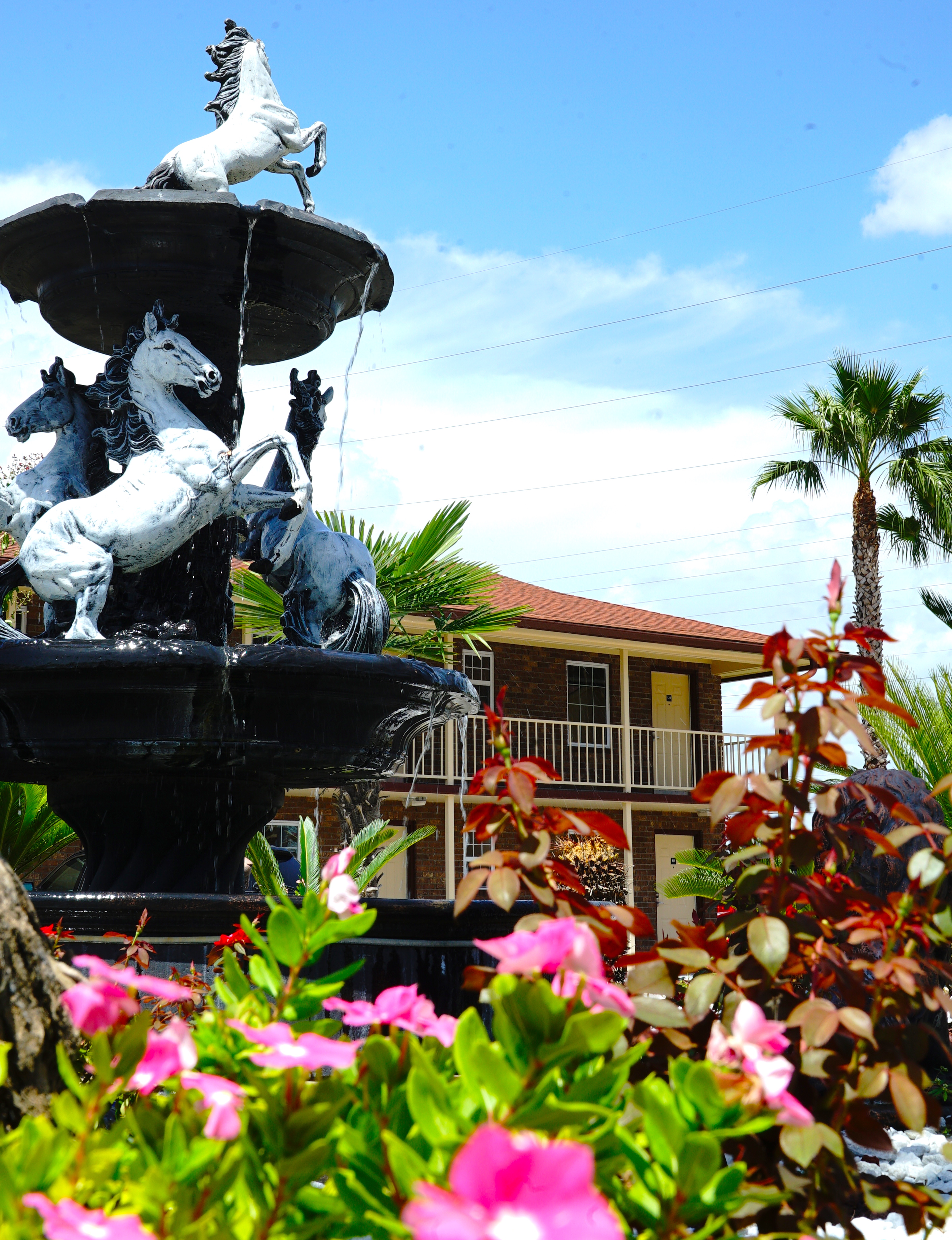 Savannah, Inn, Suites, garden, barbecue, hotel, motel, king, king bedrooms, entrance, palm, garden, savannah inn and suites