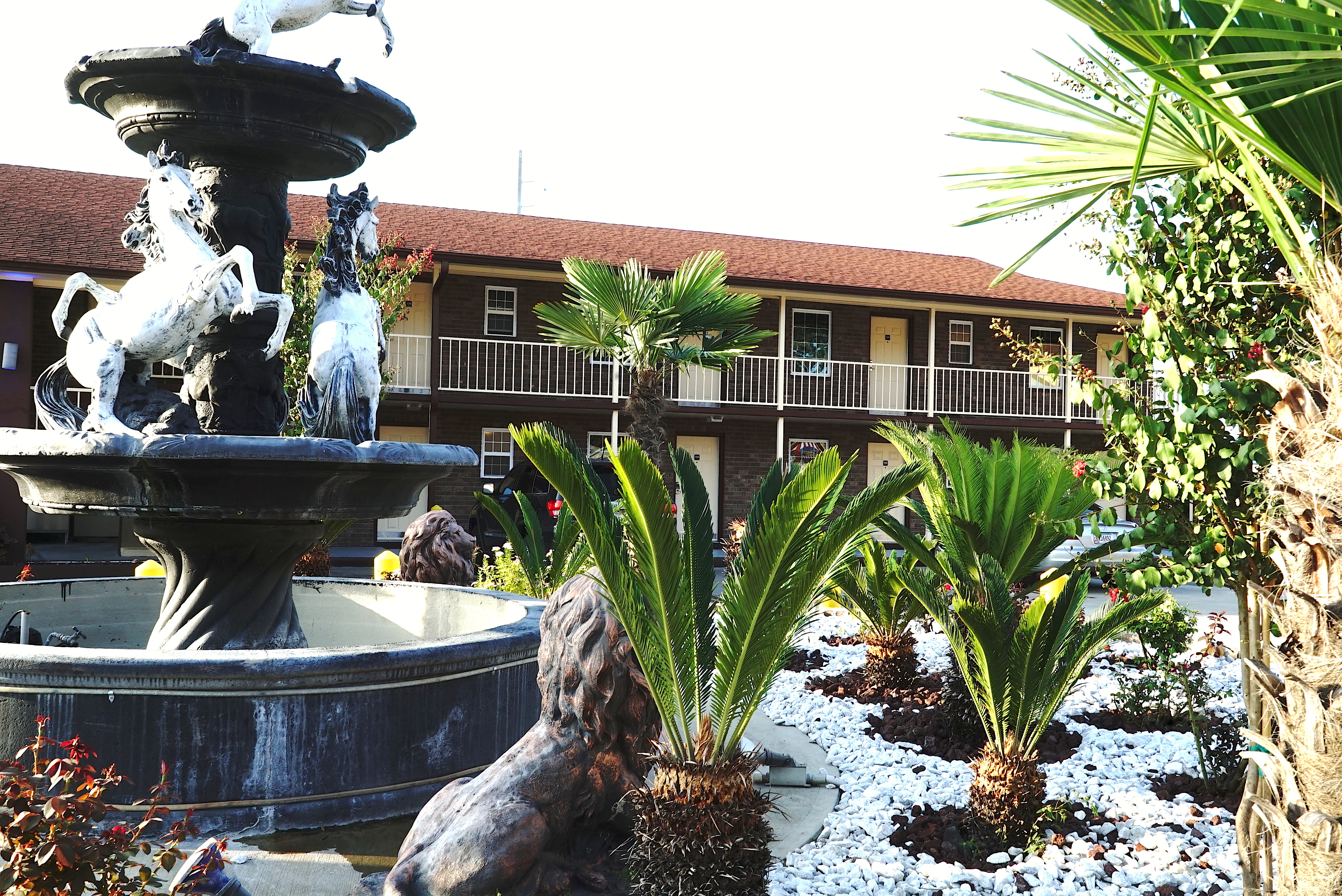 Savannah, Inn, Suites, garden, barbecue, hotel, motel, king, king bedrooms, entrance, palm, savannah inn & suites