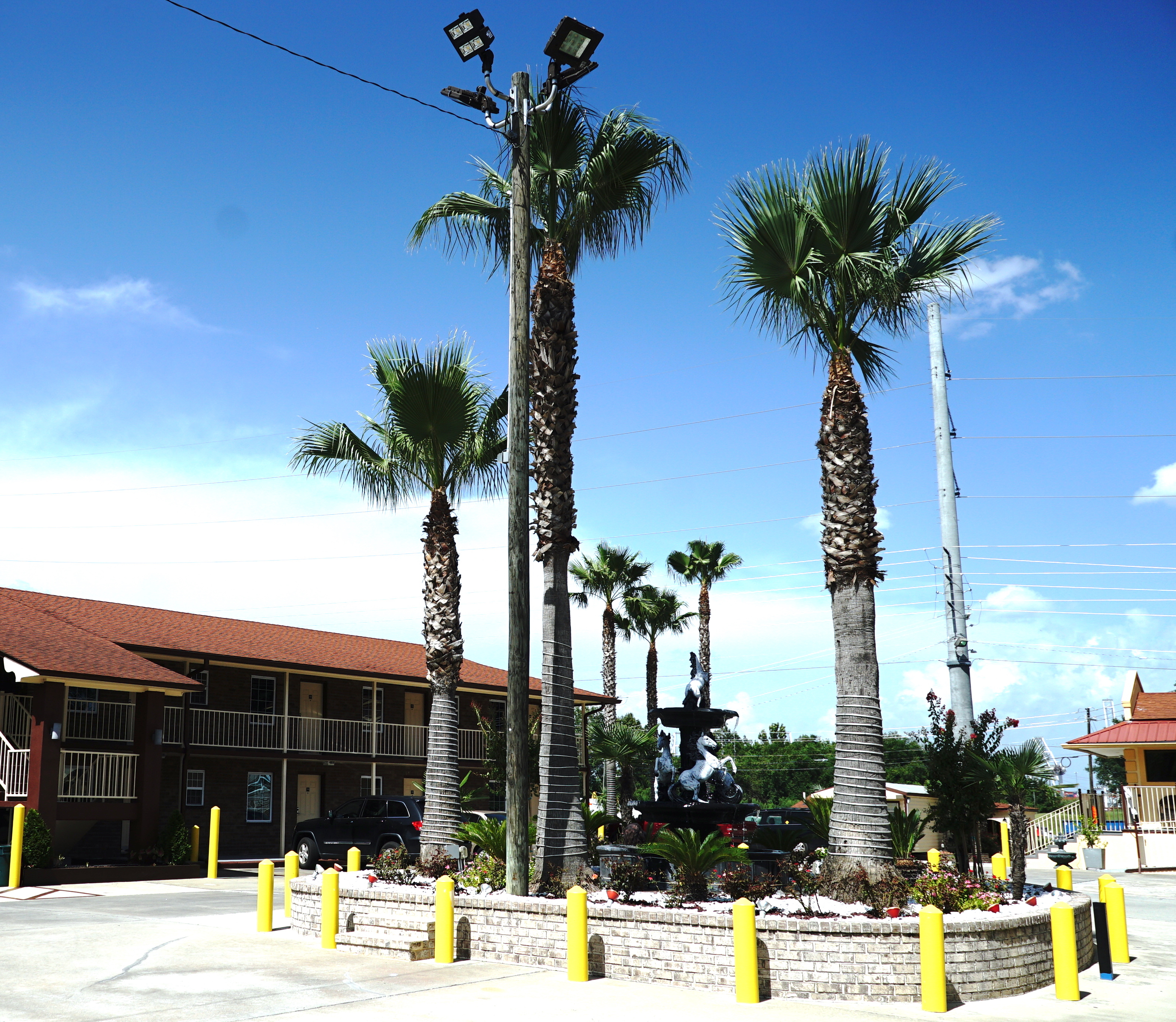 Savannah Inn and Suites, Garden, Garden City, palm trees, hotel, motel, gardens