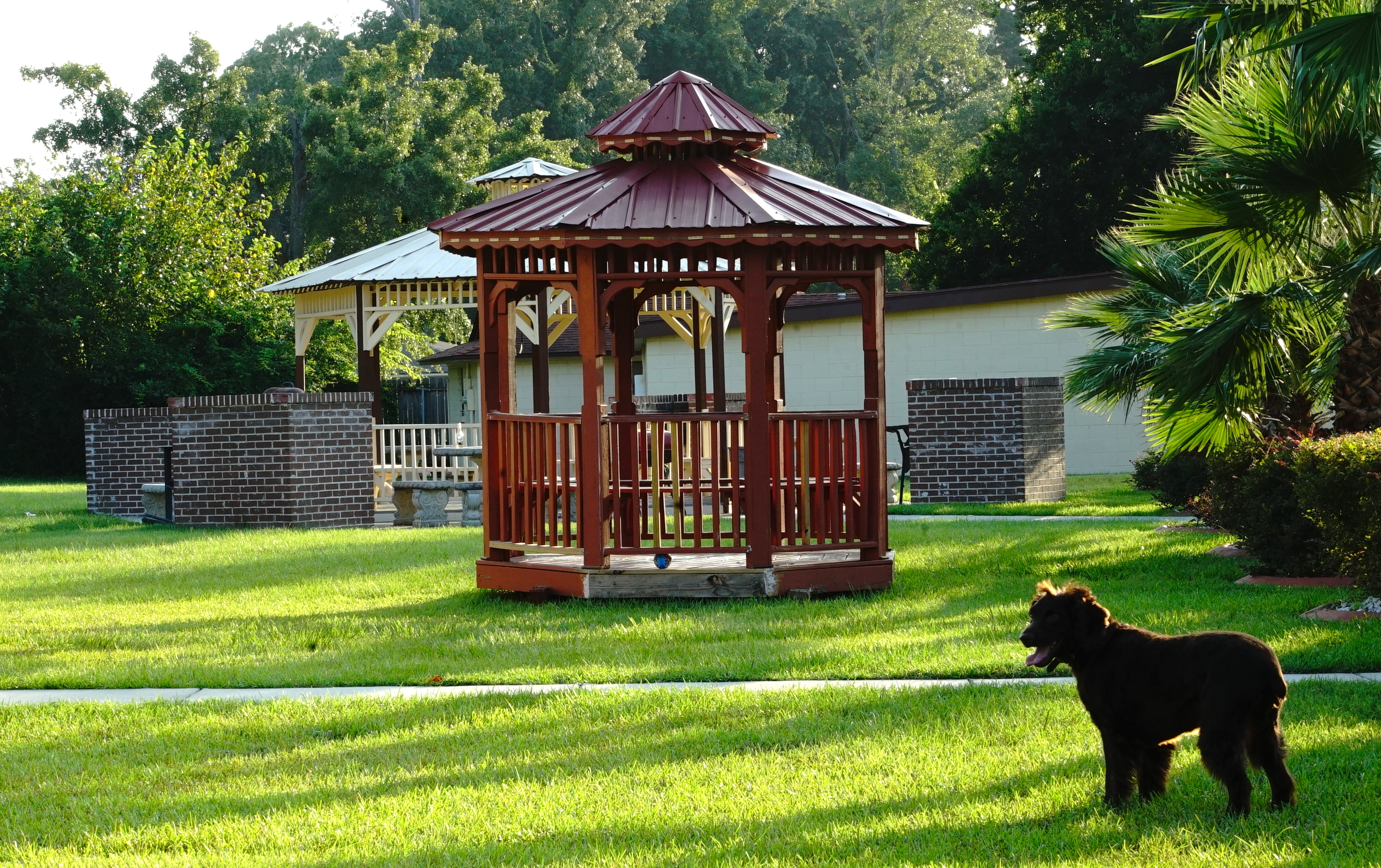 common area, Savannah, Inn, Suites, garden, barbecue, hotel, motel, king, king bedrooms, backyard, gazebo, pet friendly