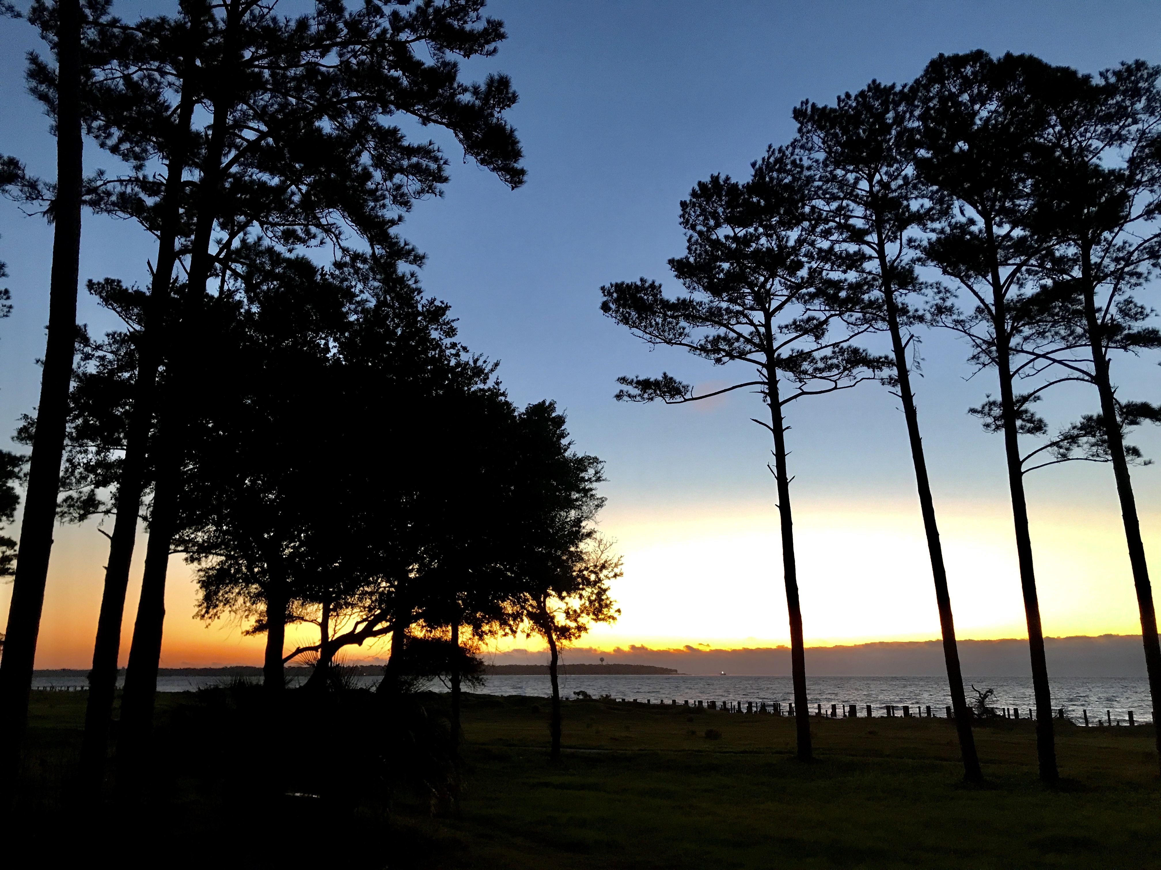 Daufuskie Island, Ferry, savannah, Savannah Inn & Suites, Sea Islands, to do, Inn, Suites, Savannah Inn & Suites, vacation