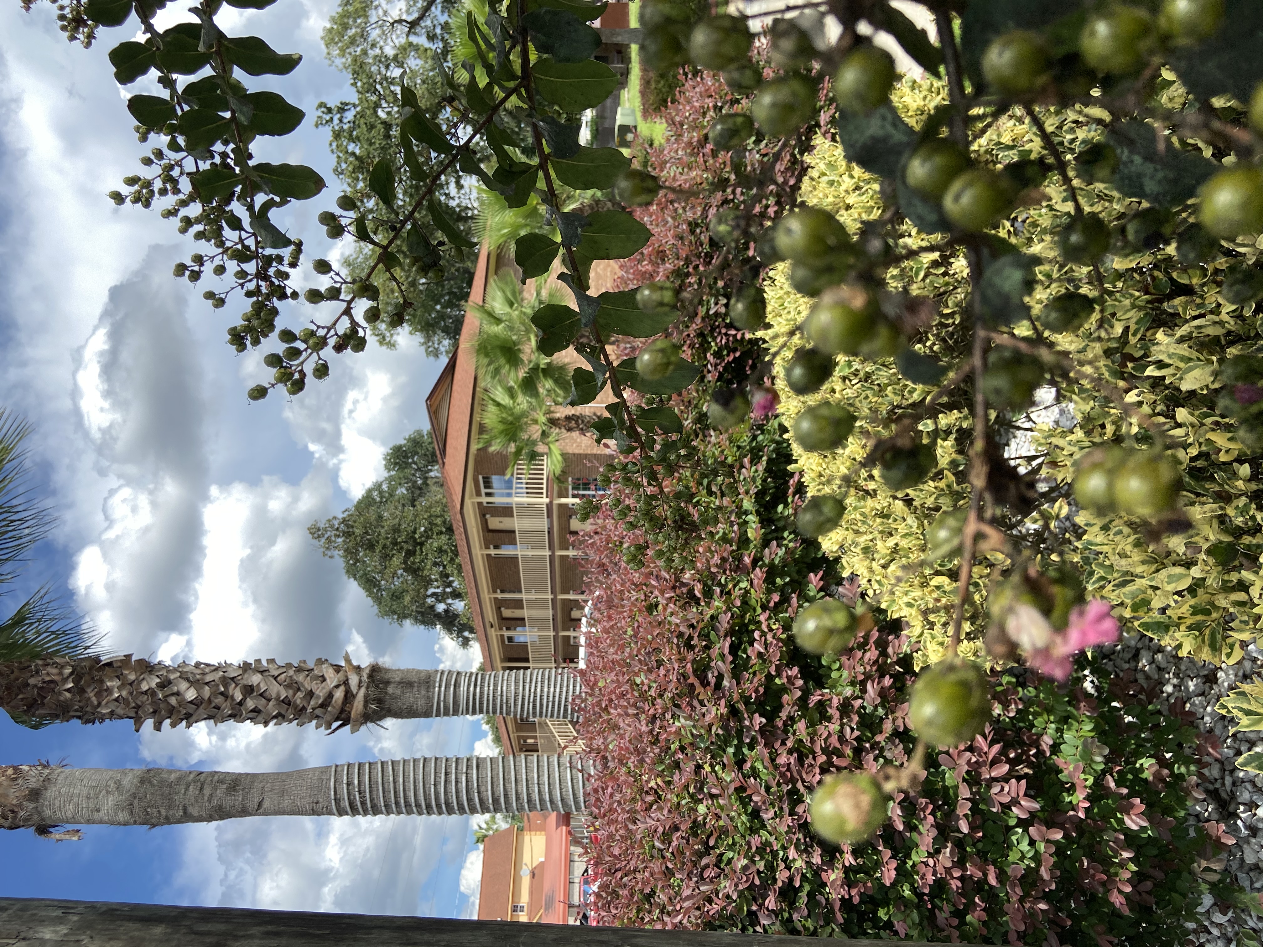 Savannah, Inn, Suites, front of property, rooms, king room, queen room, kitchenette, extended stay