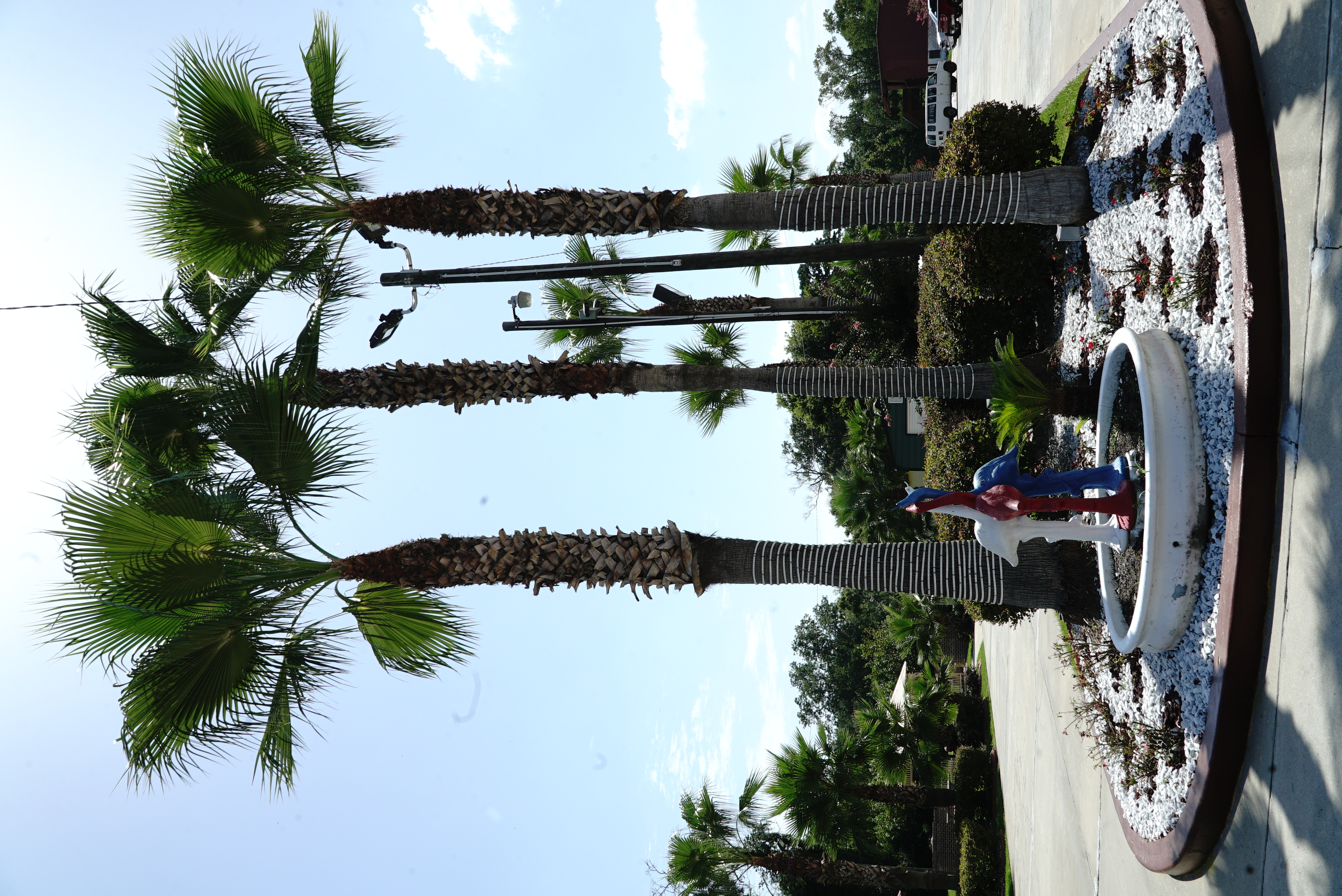 common area, waterfall, Savannah, Inn, Suites, garden, barbecue, hotel, motel, king, king bedrooms, entrance