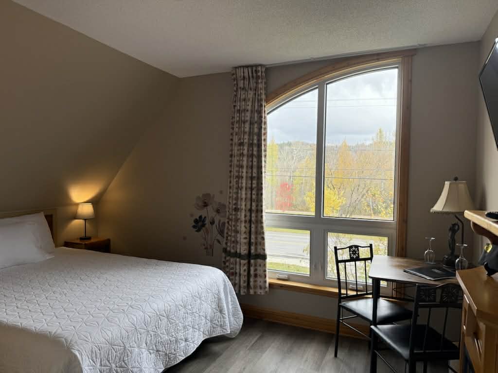 Cedar room wimdow and outside view 2025