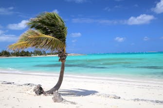 can we say any more?