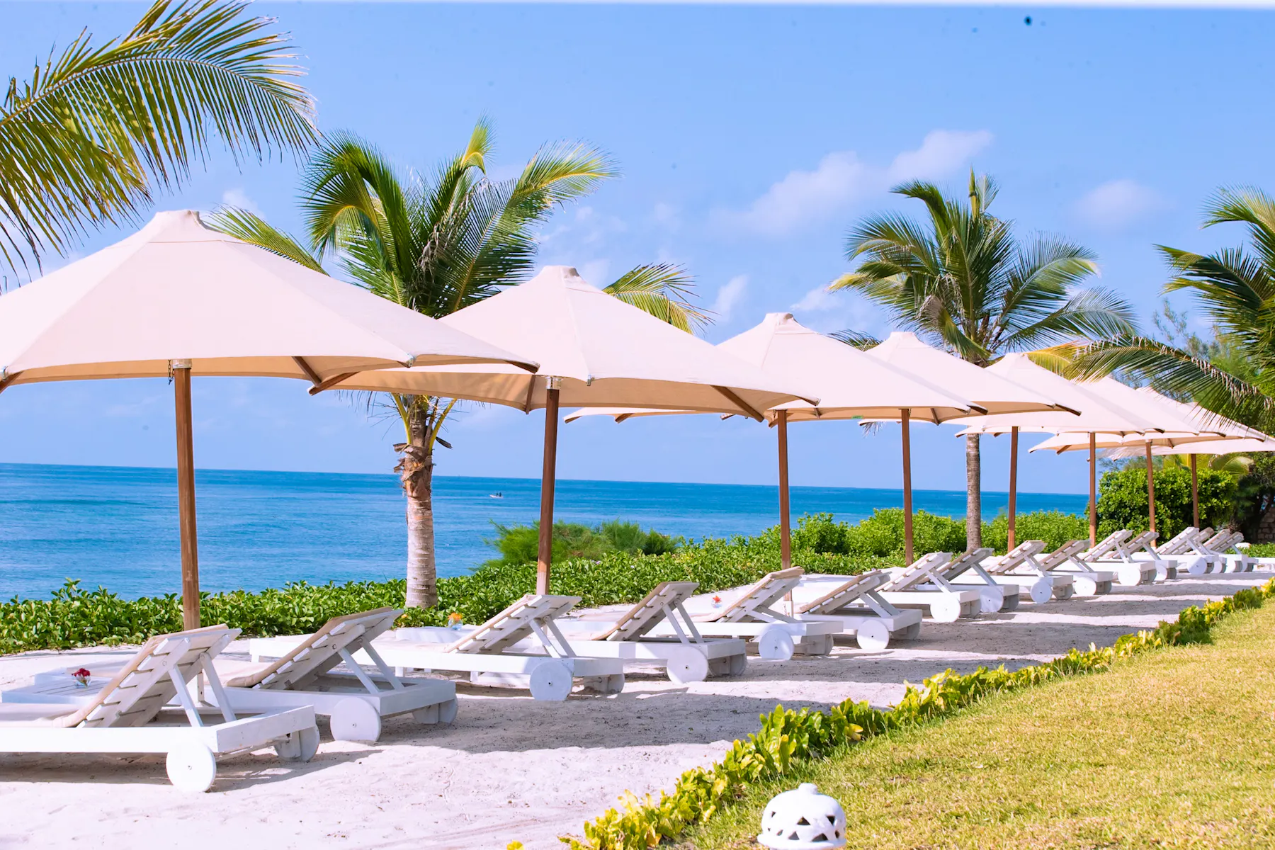 Sunbeds and umbrellas on Msambweni Beach at Zahari Oceanfront