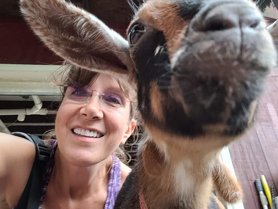 Happy Hour Goat - Away in Alvin, Texas