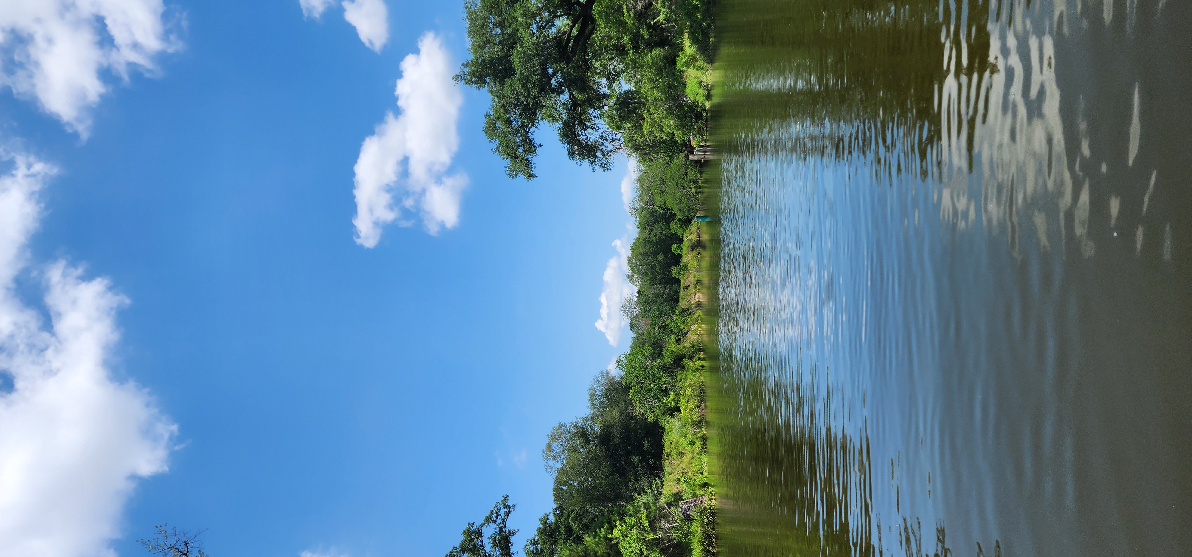 Chocolate Bayou Farm Stay, Alvin Texas