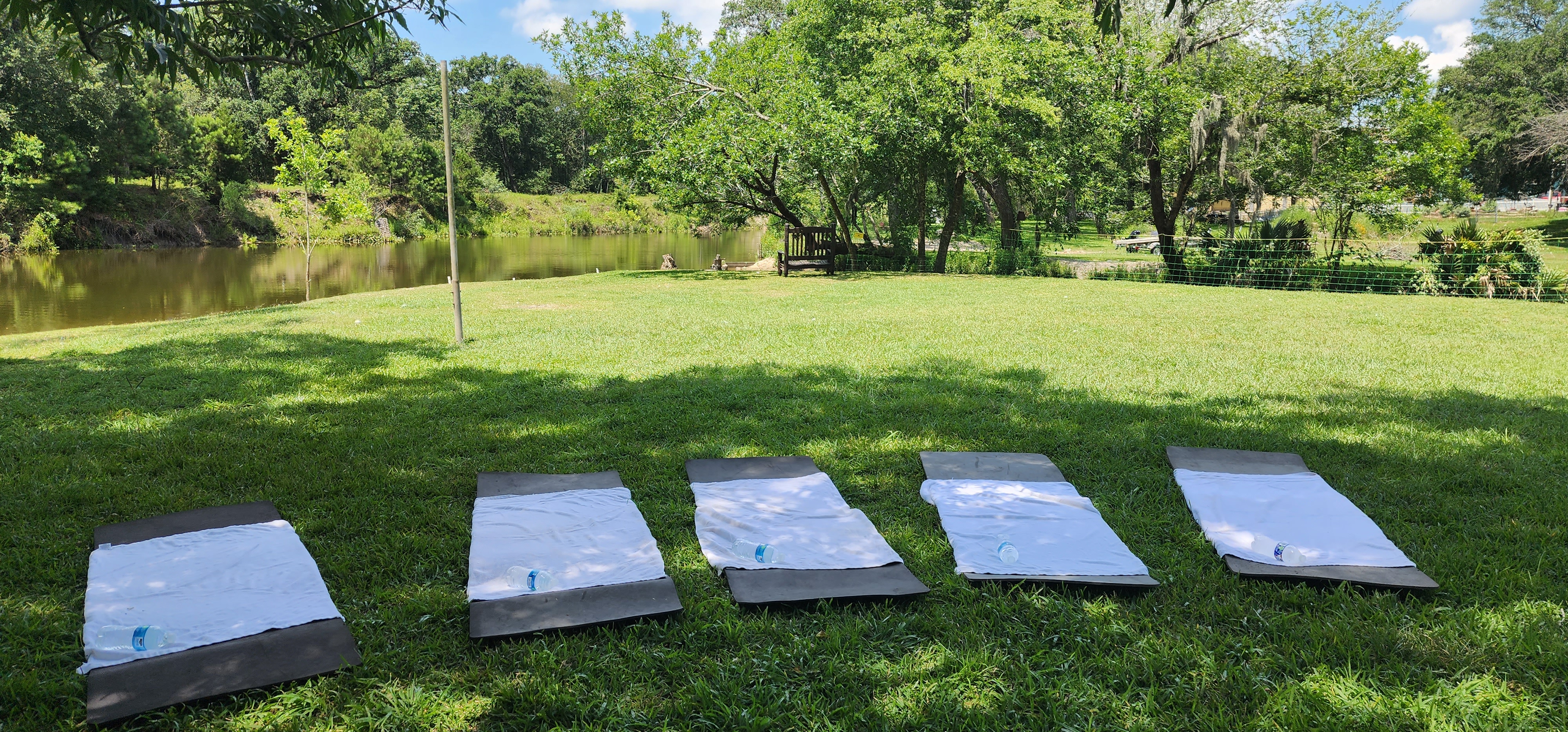 Premier Goat Yoga in Alvin Texas