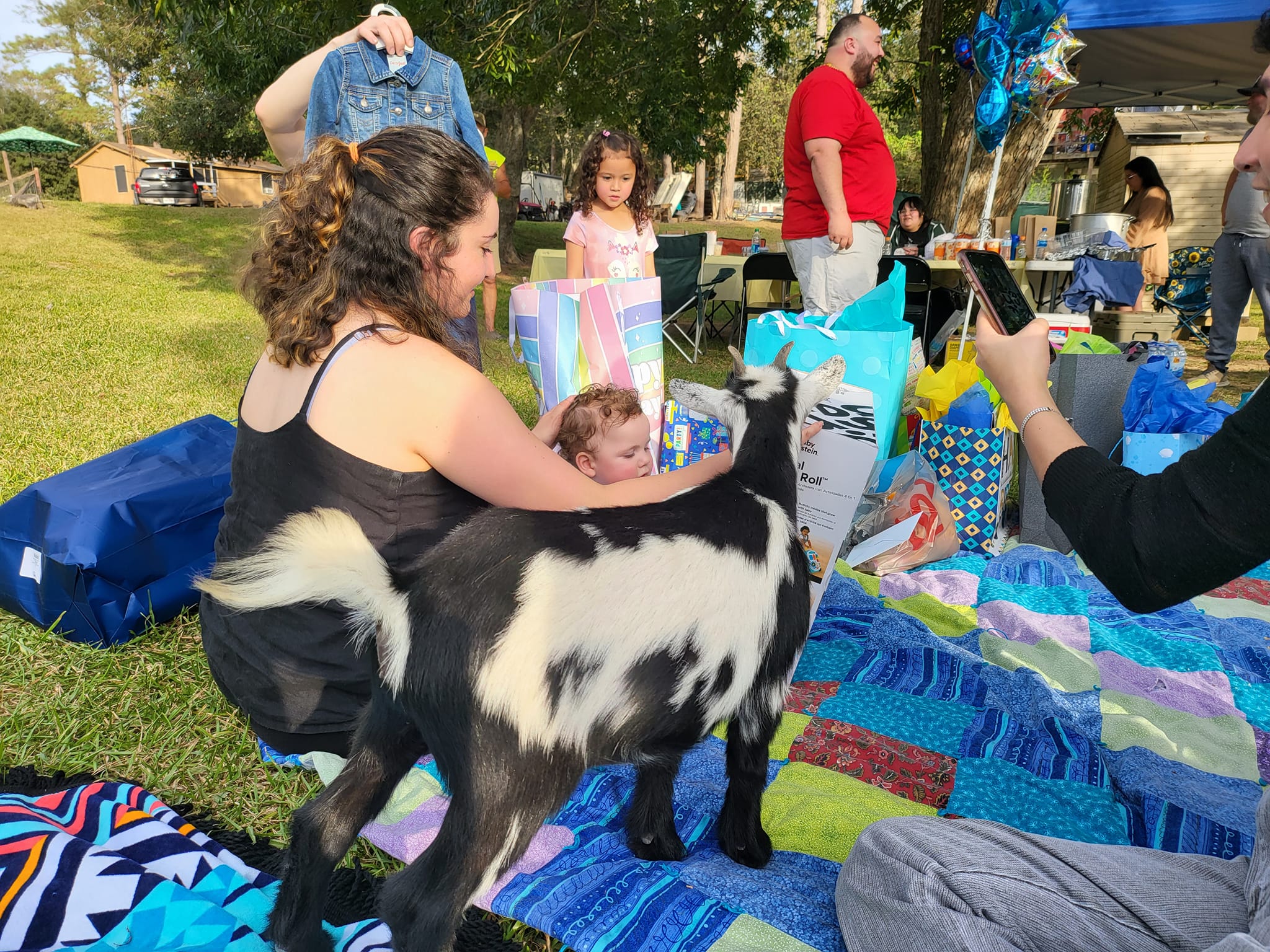 Happy Hour Goat - Away in Alvin, Texas