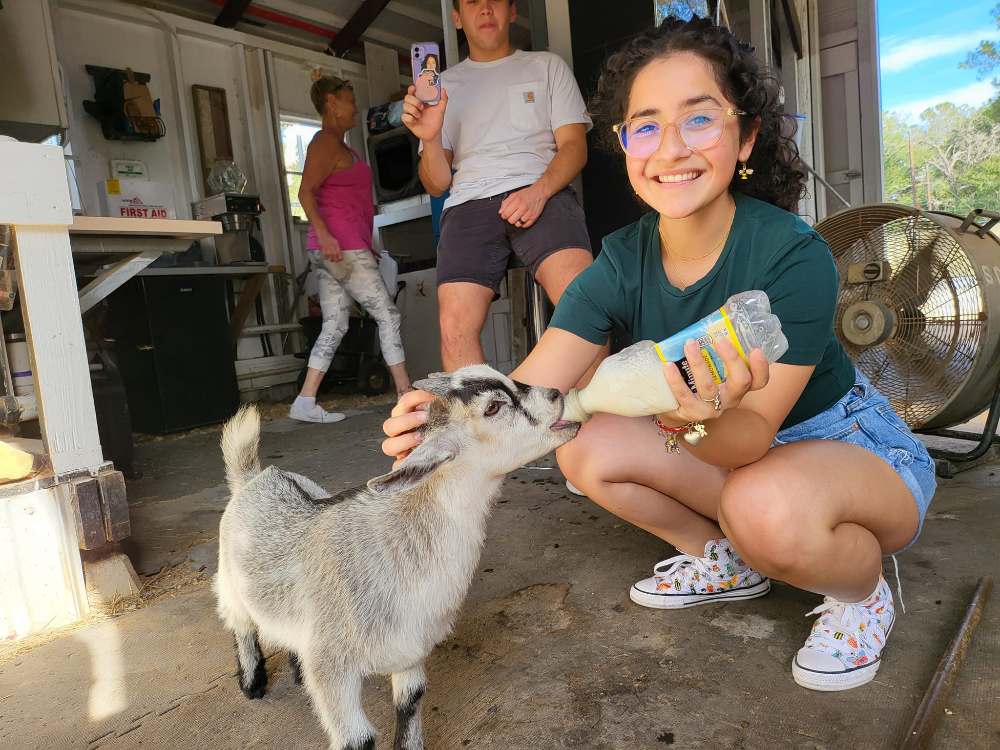 Animal-assisted therapy goats with guests