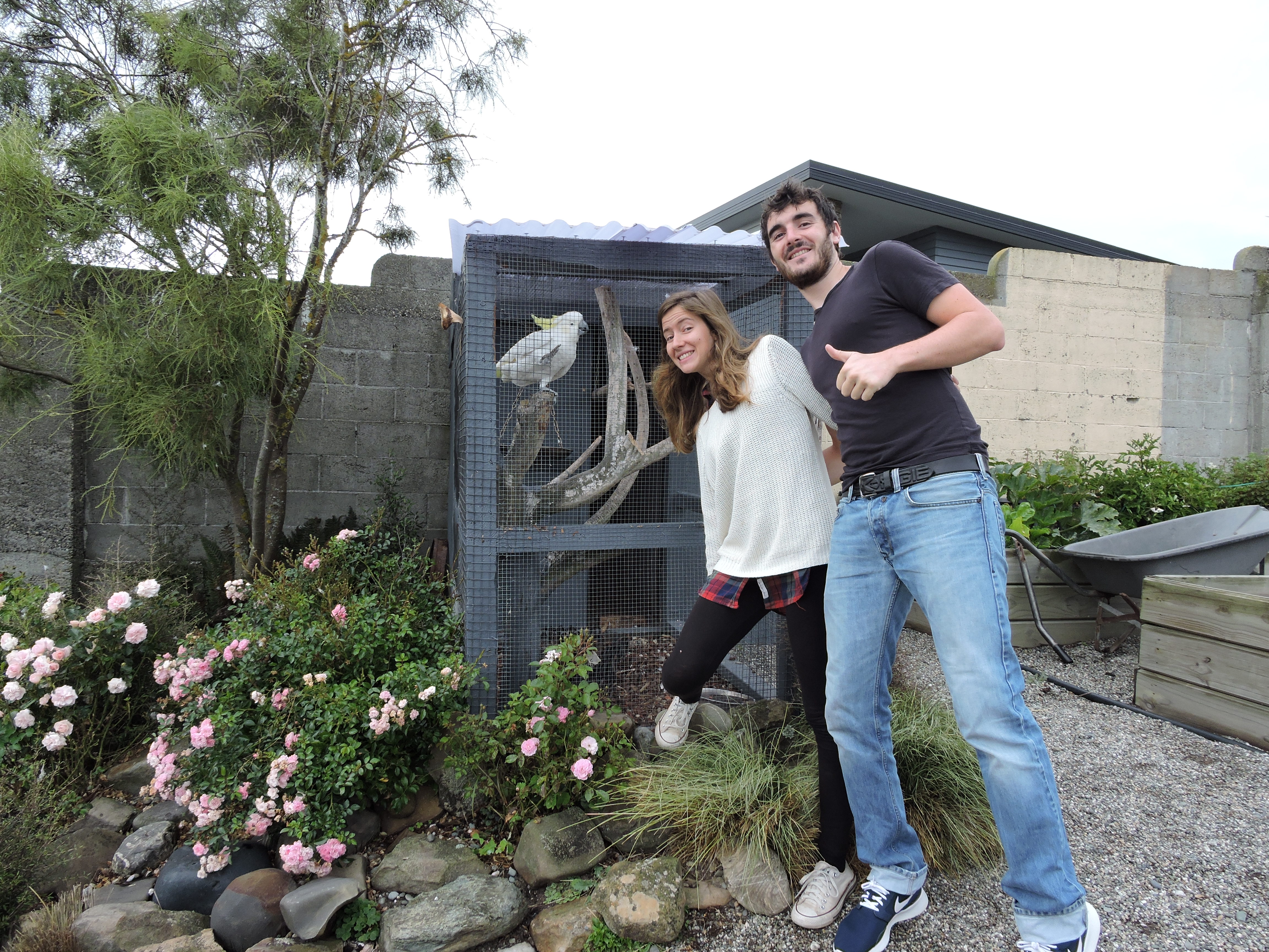 The Reservation B&B Gore Guests and Bart - the Parrot