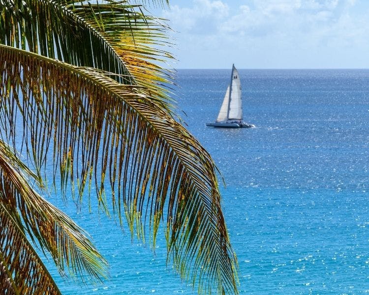 sailing, ocean view, hotels, resorts, st maarten, st martin