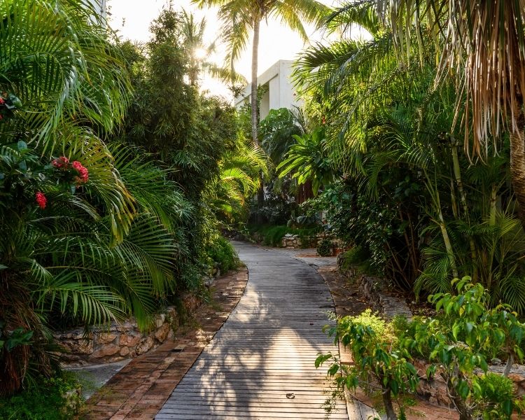 nature, garden, hotels, resorts, st maarten, st martin