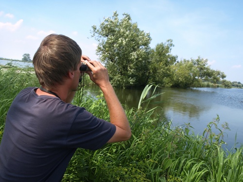 Queens Head Inn Short Breaks - Bird watching