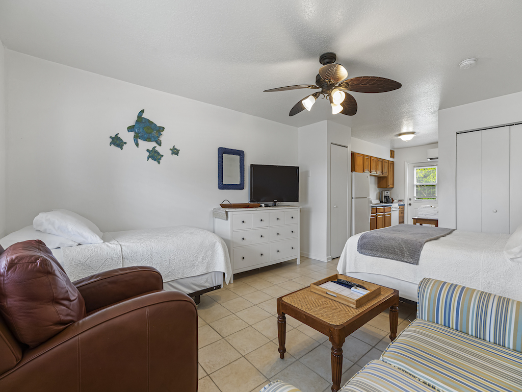 Efficiency Apartment