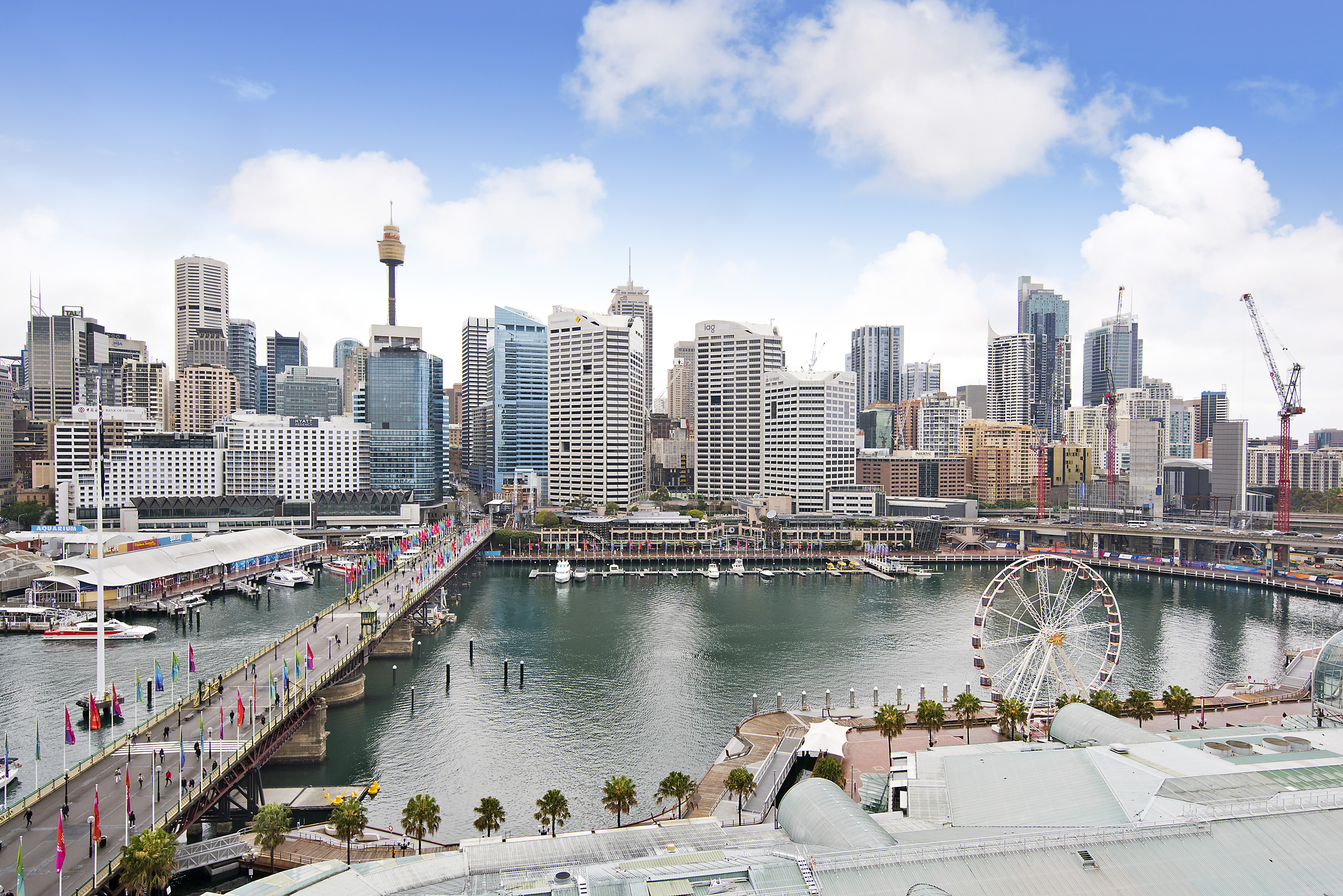 Darling Harbour featuring the City skyline