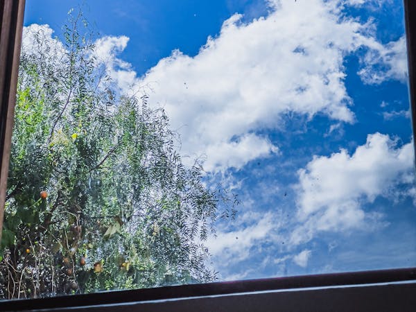 Hab 25 Casita privada cielo azul Ollantaytambo naturaleza vacaciones familiares plantas aves nativas wifi kitchenette