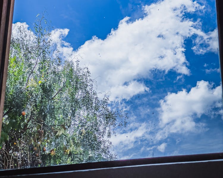 Hab 25 Casita privada cielo azul Ollantaytambo naturaleza vacaciones familiares plantas aves nativas wifi kitchenette