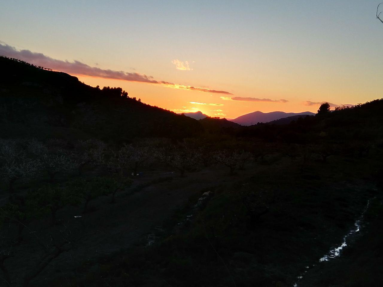 Impressions of Margarida