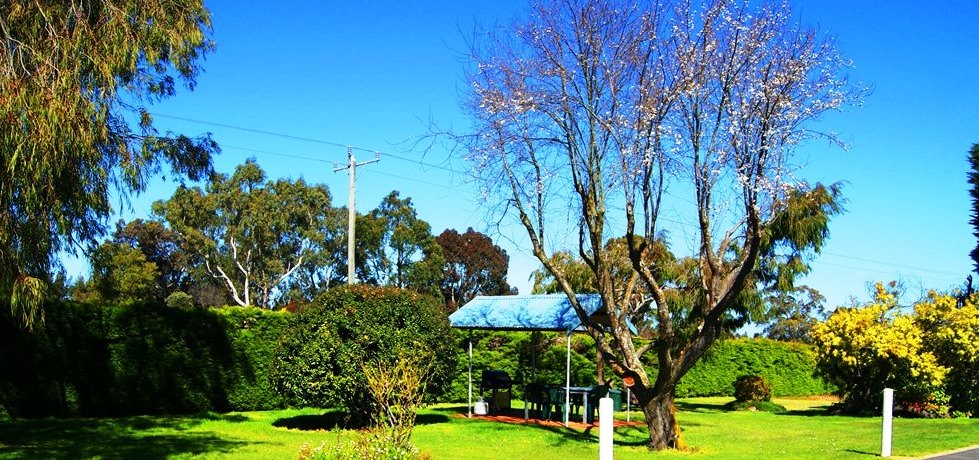 Terang Motor Inn _ Outside Garden View