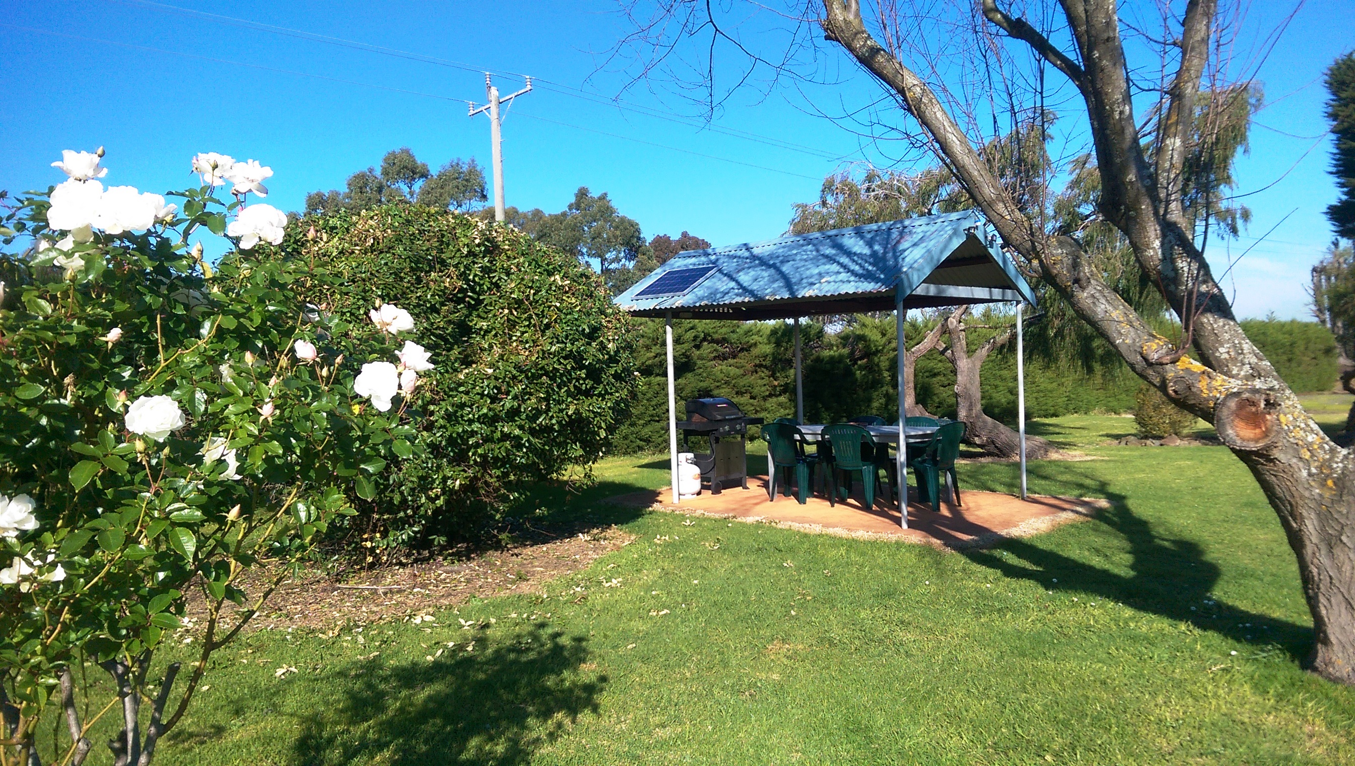 Terang Motor Inn _ Outside BBQ Area and Outside Garden View