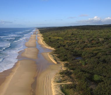 Fraser Island is a must see when in Hervey Bay