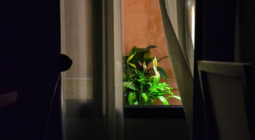 Detail of the back courtyard. Aguilas5 SevillaSuites