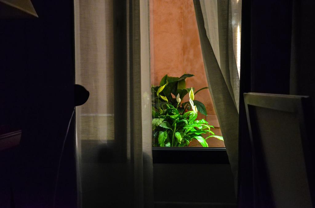 DELUXE one bedroom GROUND FLOOR. Aguilas5 SevillaSuites