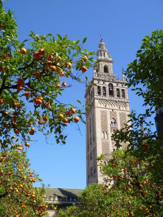 spots worth visiting, tapas restaurants and bodegas, museums, flamenco shows, boat in Central Seville