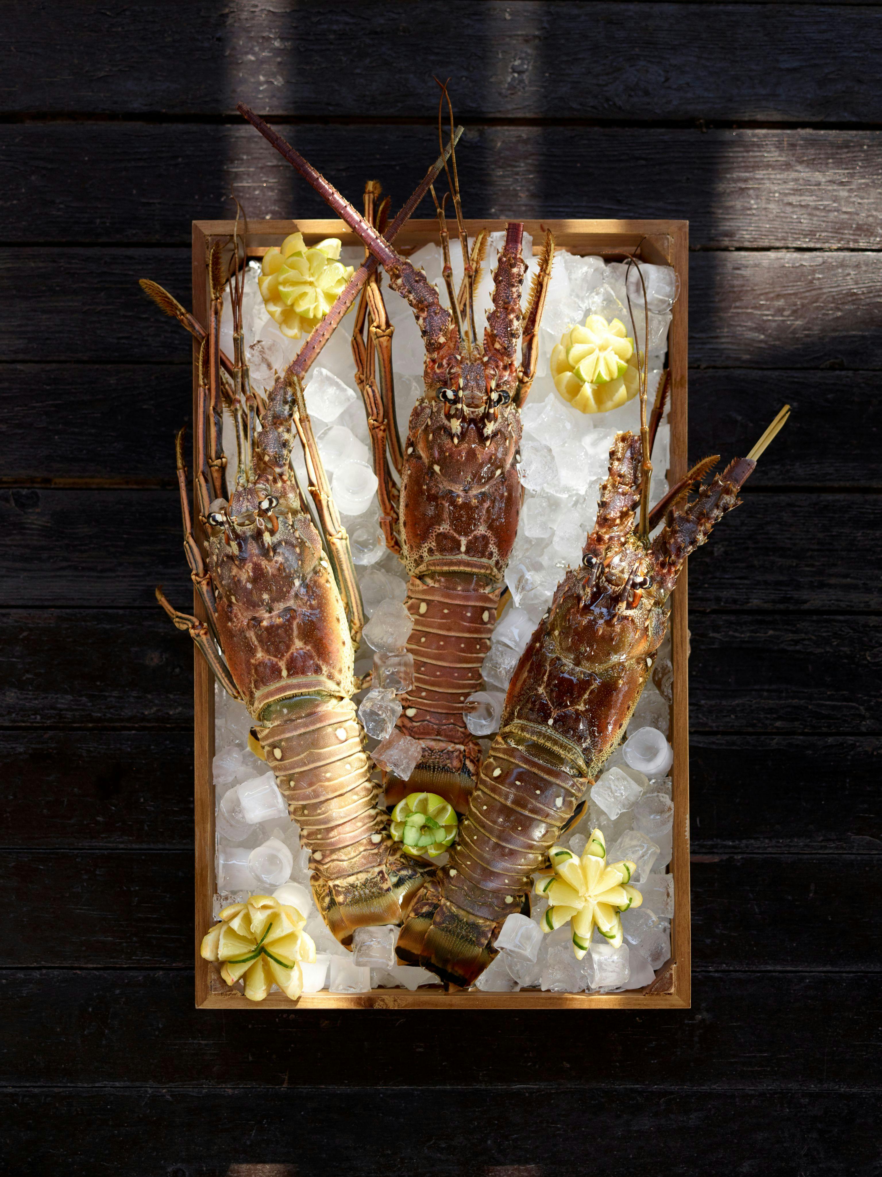 3 Famous lobsters on ice box