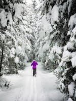 Cross-Country Skiing