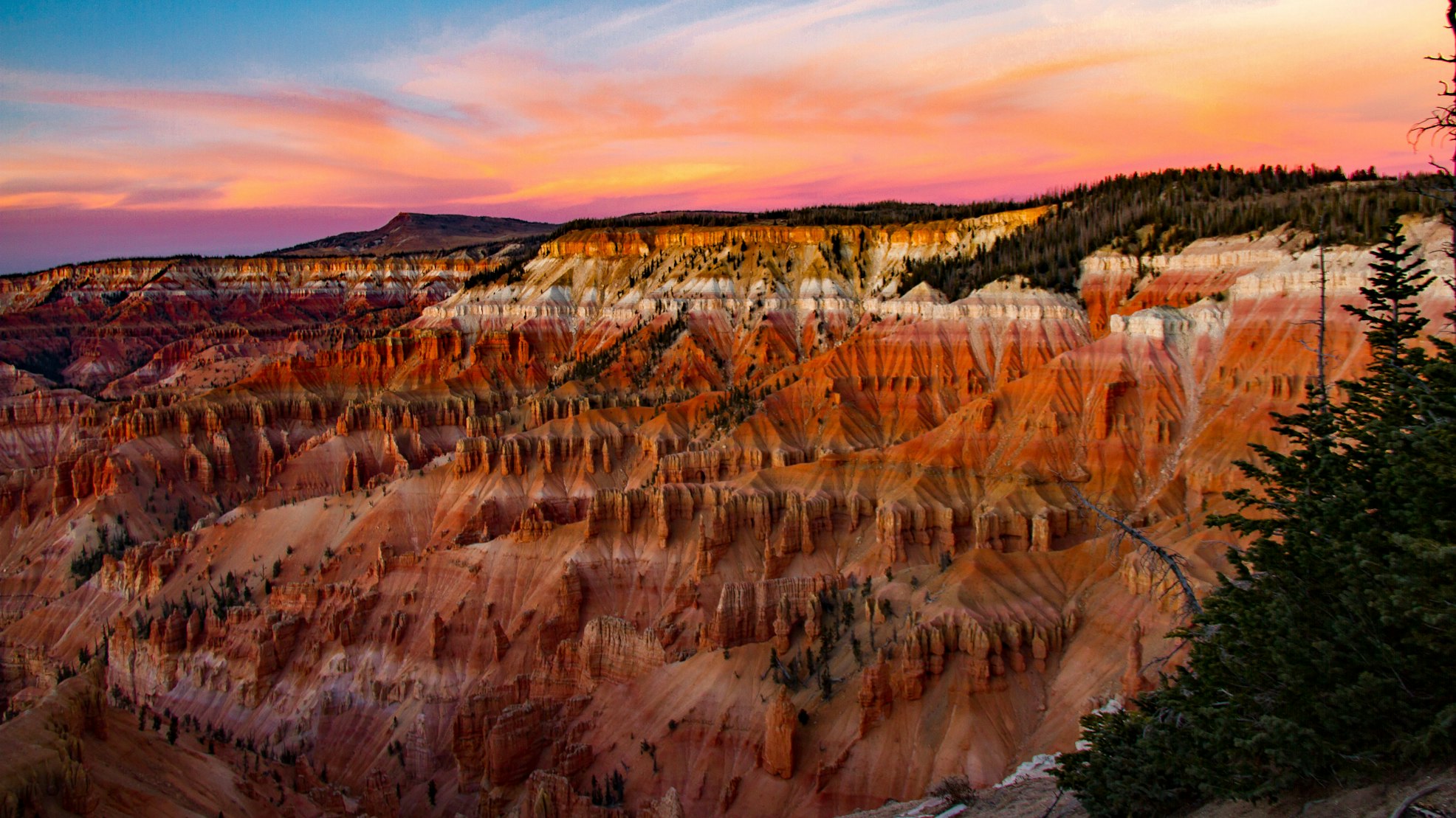 Colorful rock amphitheater of Cedar Breaks National Monument with wildflowers in the foreground