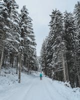 Sledding