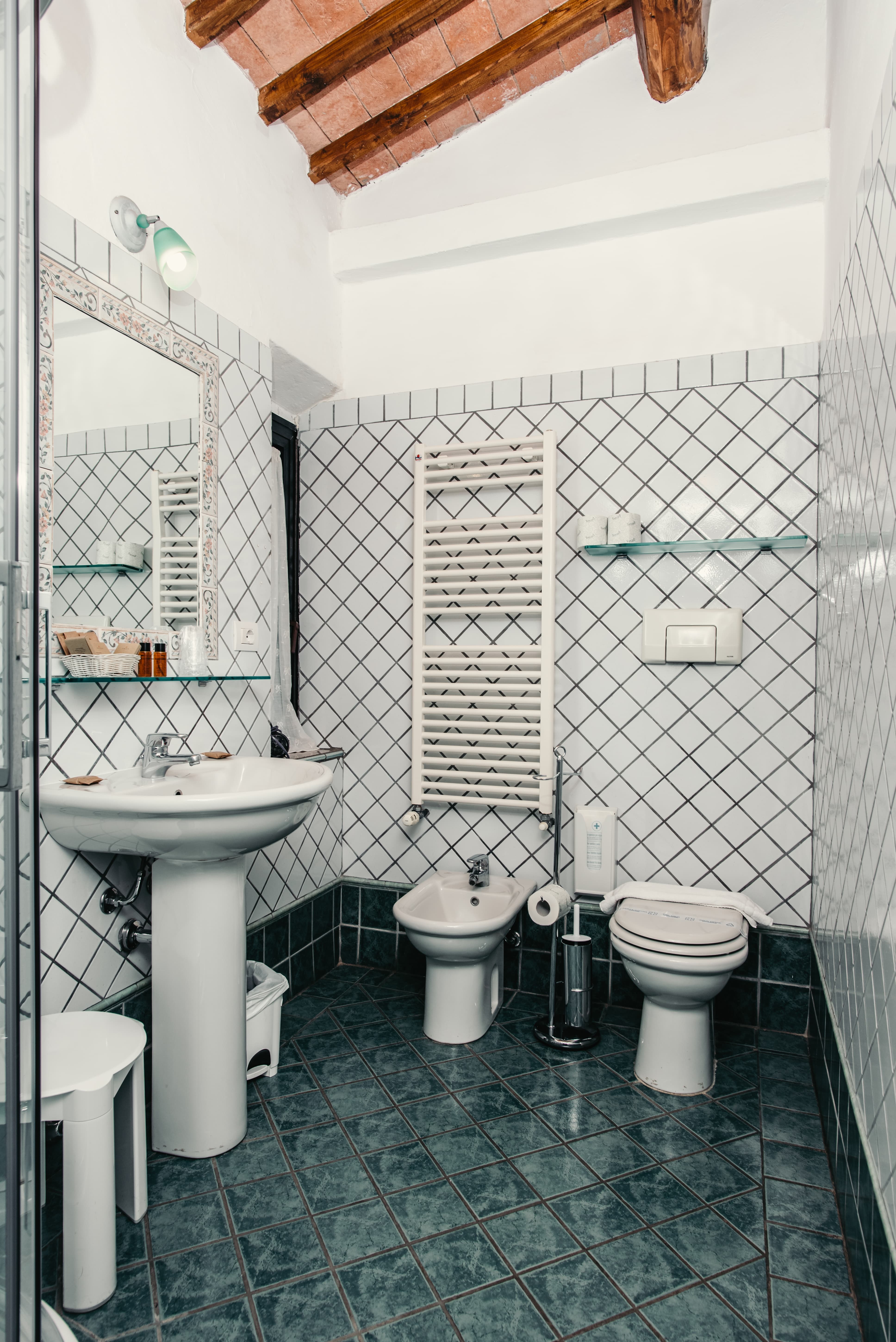 standard room bathroom