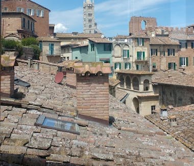 Siena's roofs,i tetti di siena