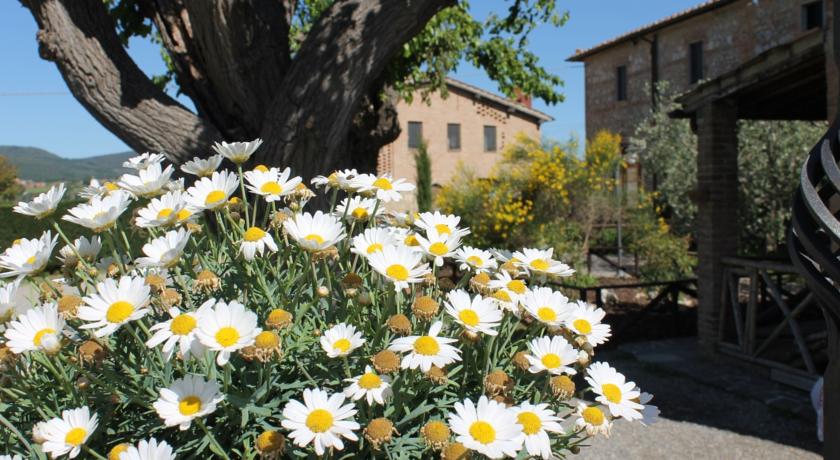 hidden flowers fiori nascosti