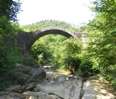 ponte della pia