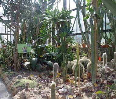 botanical garden in siena guiardino botamico in siena