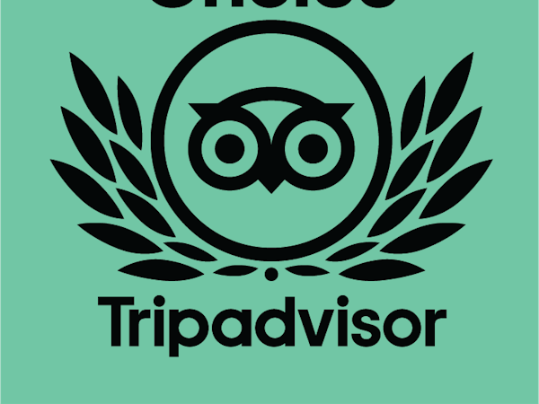 #tripadvisor