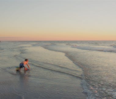 Attractions New Hotel Collection Harbourside Resort