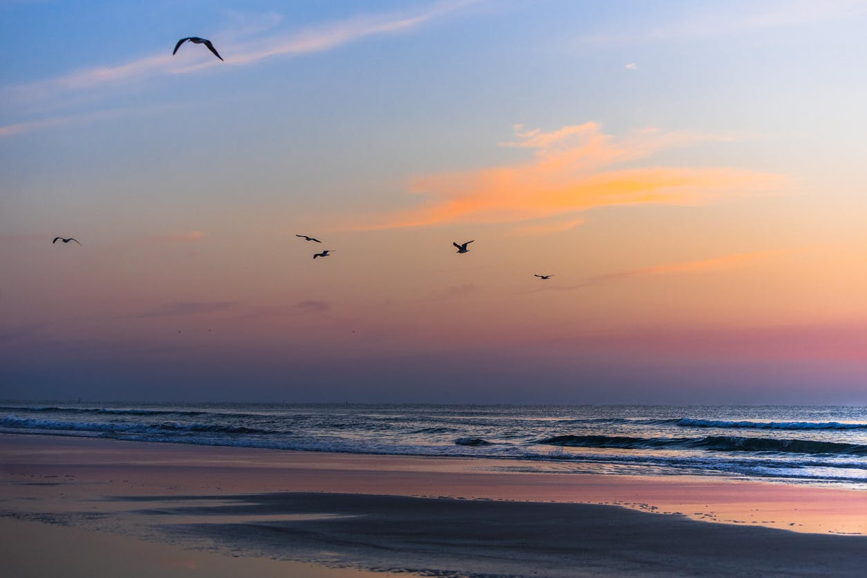 The Best Activities in Indian Rocks Beach, FL New Hotel Collection