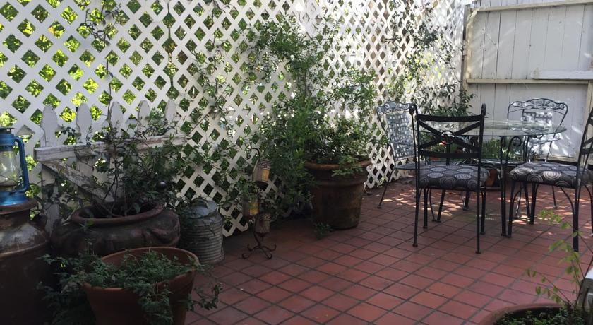 Plants on the Prospector patio